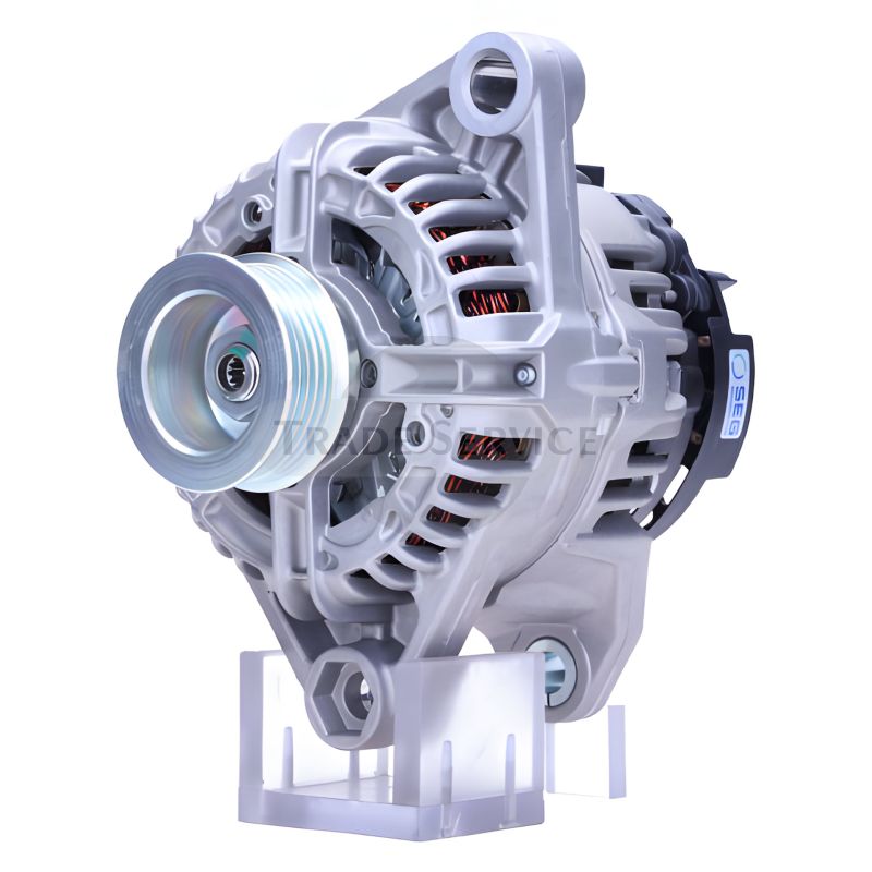 0124325069 SEG alternator