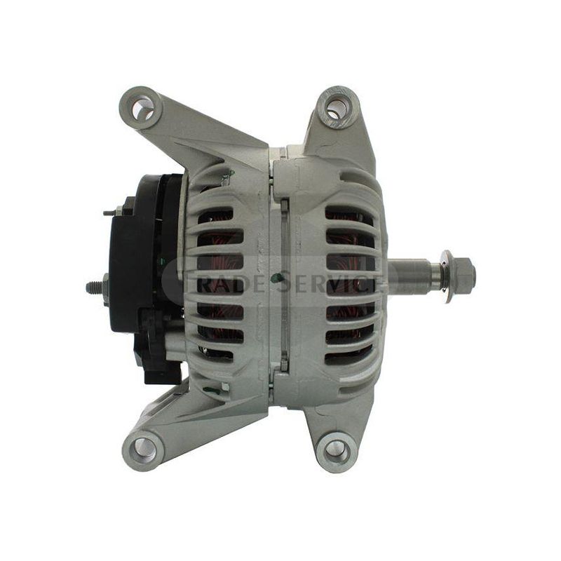 0124625227 SEG alternator