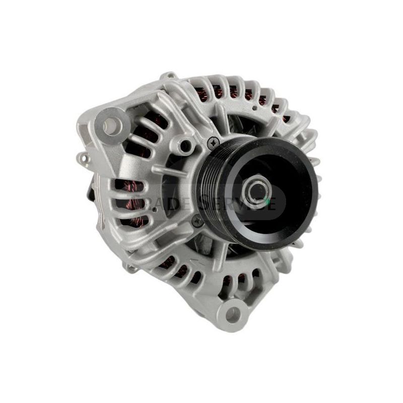 0124655191 SEG alternator