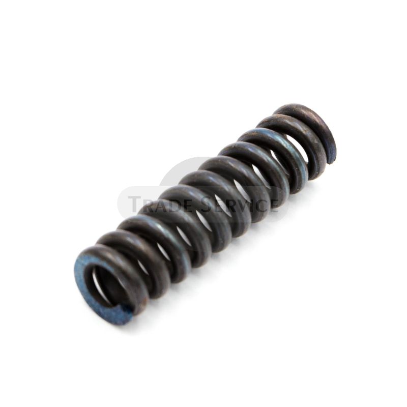 082931 TZ4K spring