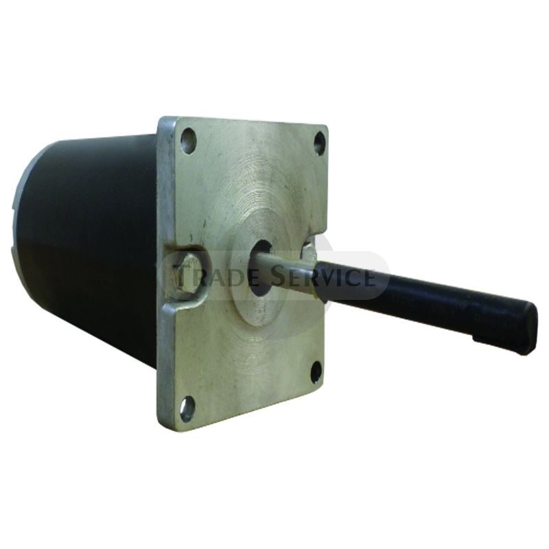 10717N WAI DC motor