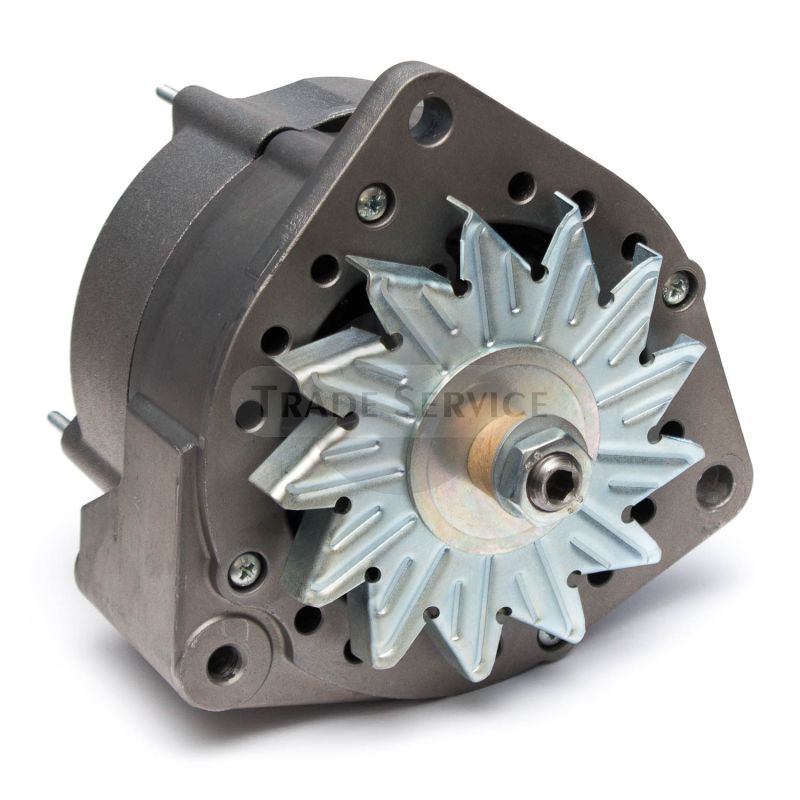 19025100 Remy alternator