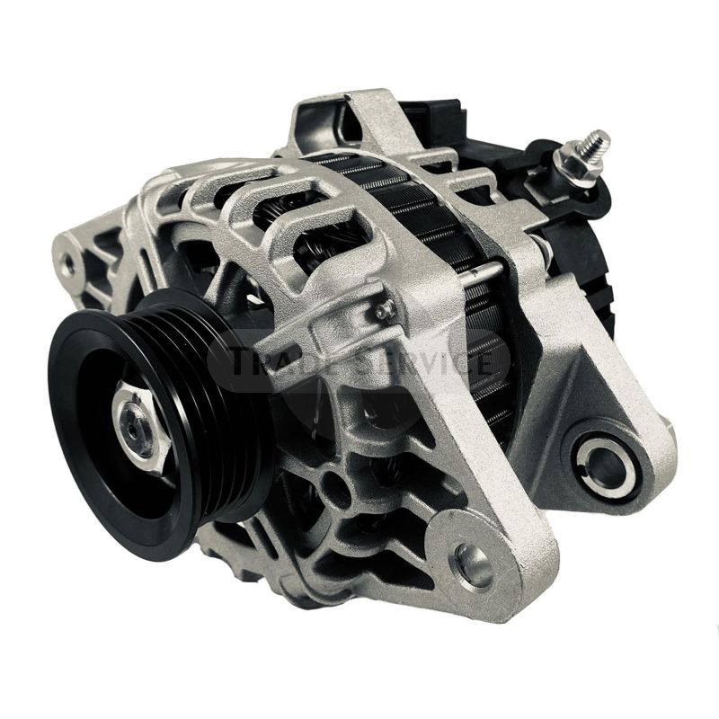 21004N WAI alternator