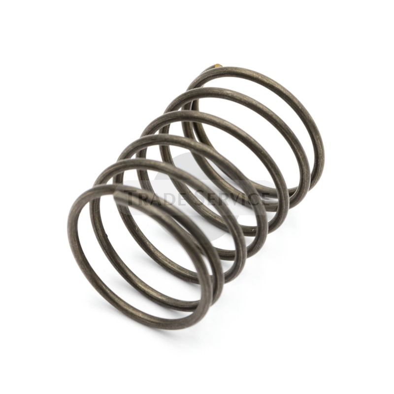 70062 TZ4K spring