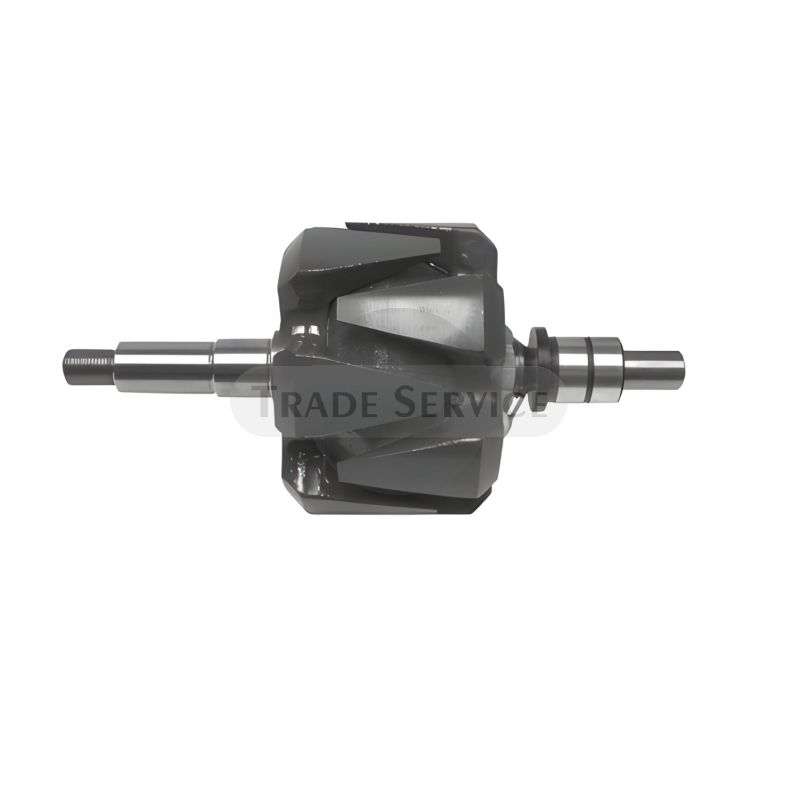 A020096597S rotor