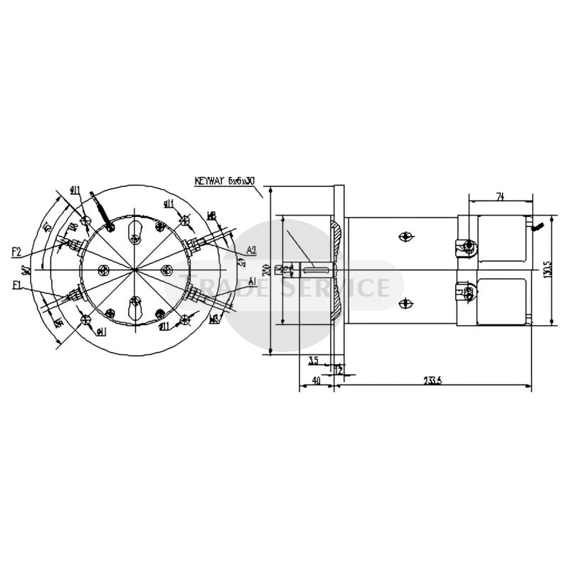 11.216.769 AMK2632 MAHLE (Letrika, Iskra) DC motor MM17
