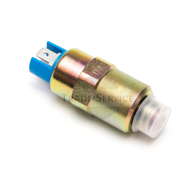 11.728.407 MAHLE (Letrika, Iskra) valve