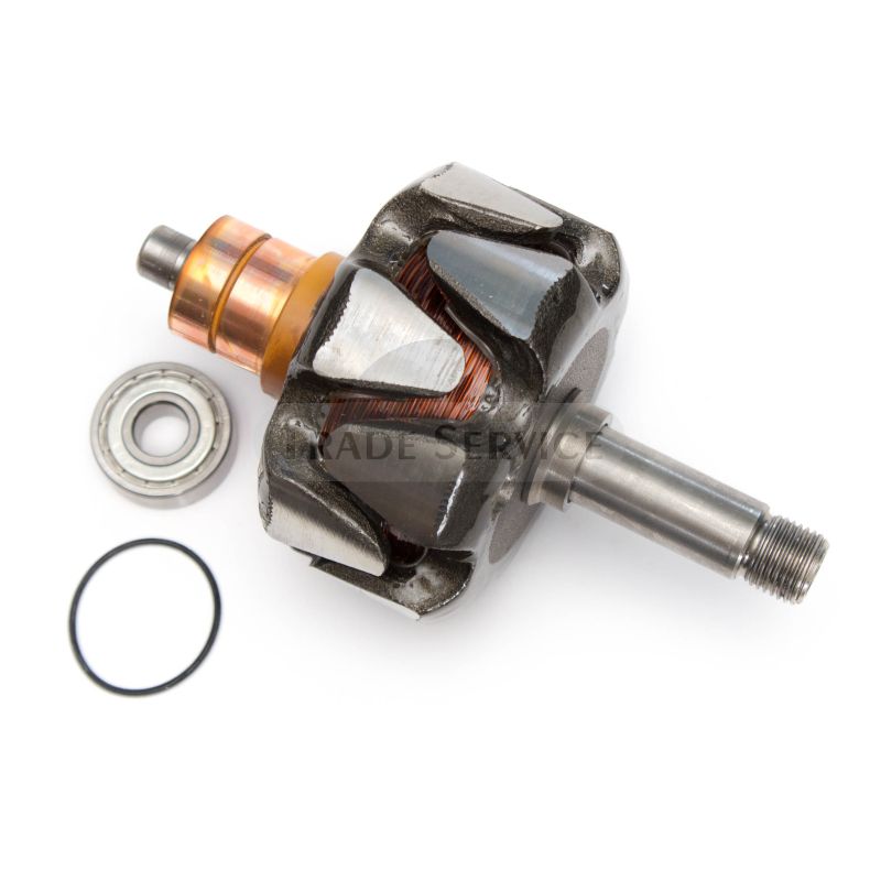 16.905.841 MAHLE (Letrika, Iskra) rotor