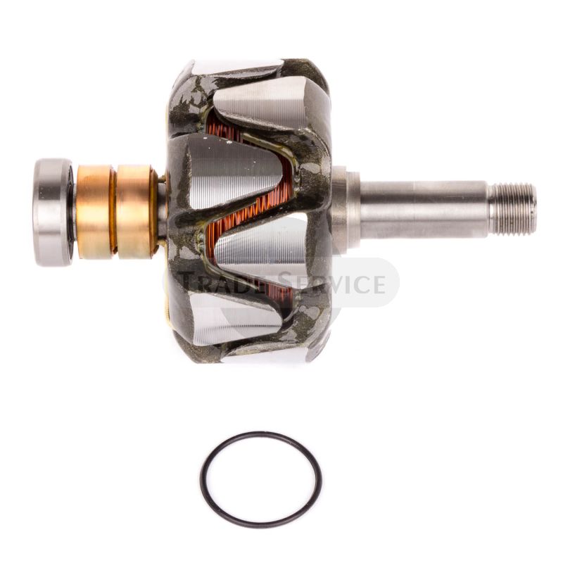 16.905.977 MGX16 MAHLE (Letrika, Iskra) rotor