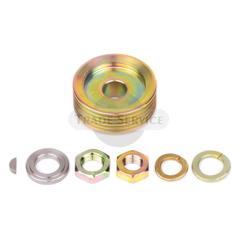 16.906.613 MGX437 MAHLE (Letrika, Iskra) pulley