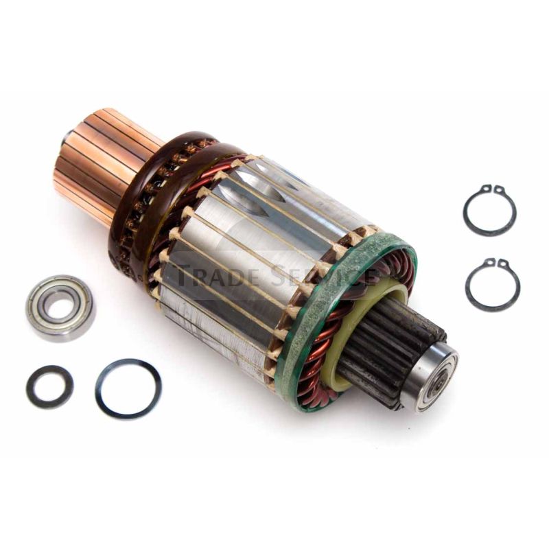 16.907.487 MSX507 MAHLE (Letrika, Iskra) armature