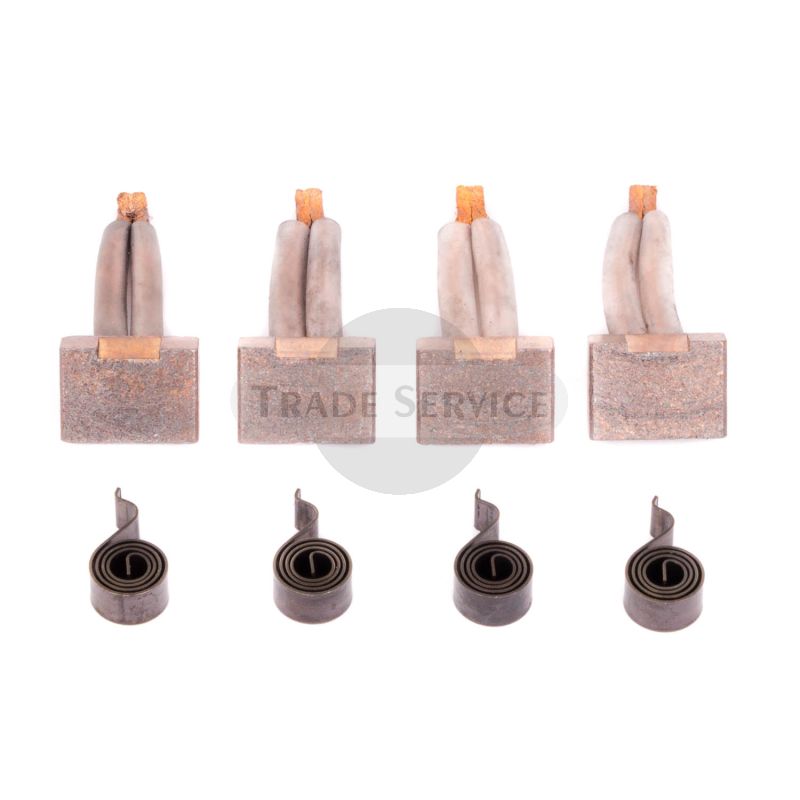 16.915.870 MSX1091 MAHLE (Letrika, Iskra) set of brushes