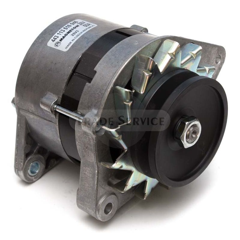 9516946 Magneton alternator