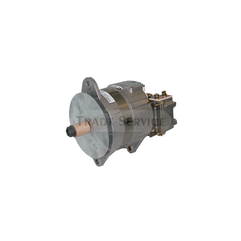 A001090719 Prestolite alternator