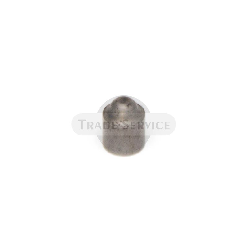 07310 TZ4K boundary pin 
