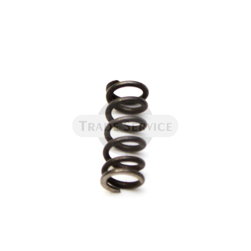 082791 TZ4K spring