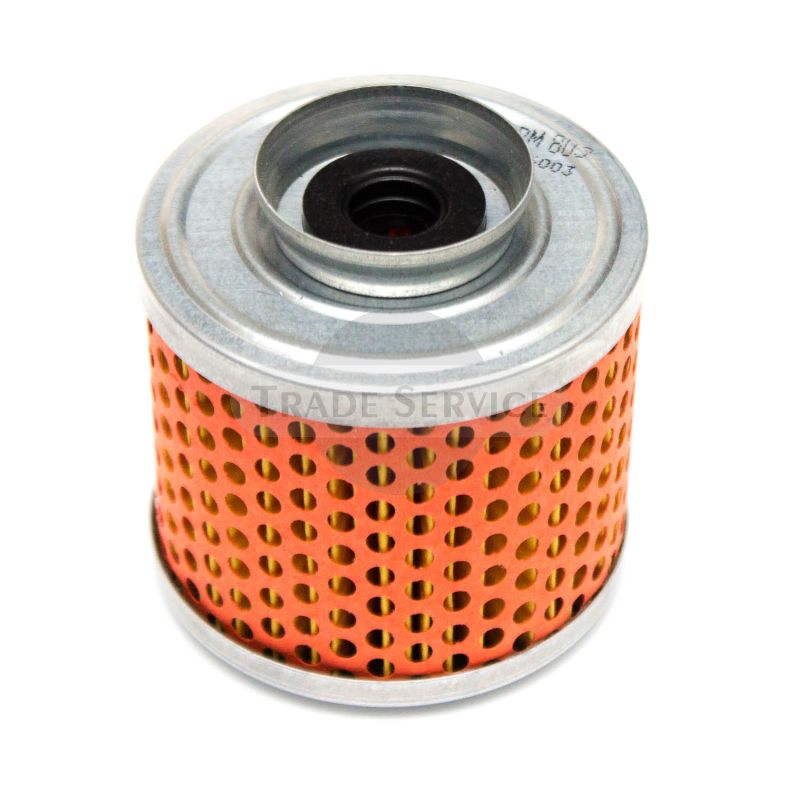 FPM803 TZ4K fuel filter (25013)