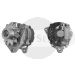 11.201.767 AAK4587 MAHLE (Letrika, Iskra) alternator MG411