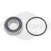 16.908.609 MGX684 MAHLE (Letrika, Iskra) bearing
