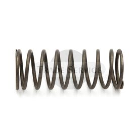05016 valve spring 2S90A