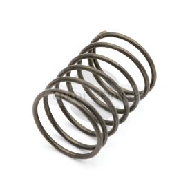 70062 TZ4K spring