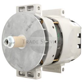 8600338 Remy alternator