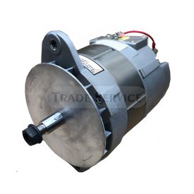 A0014890AA Prestolite alternator