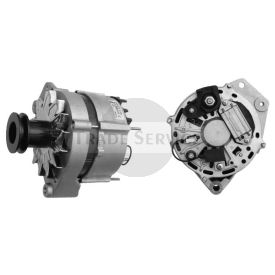 11.209.411 AAN3102 MAHLE (Letrika, Iskra) alternator MG457