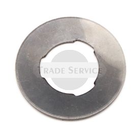315238048 spring