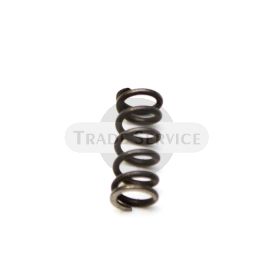 082791 TZ4K spring