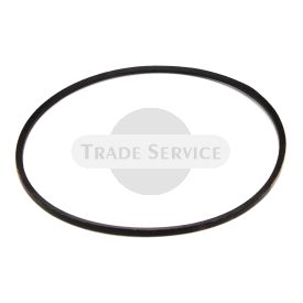 9,5X1100 TZ4K belt