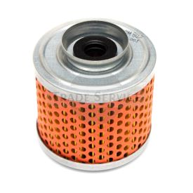 FPM803 TZ4K fuel filter (25013)