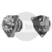 11.201.390 AAK4192 MAHLE (Letrika, Iskra) alternator MG532