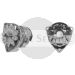 11.201.522 AAK1347 MAHLE (Letrika, Iskra) alternator MG289