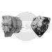 11.201.903 AAK3318 MAHLE (Letrika, Iskra) alternator MG384