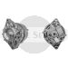 11.204.539 AAK4875 MAHLE (Letrika, Iskra) alternator MG171