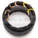 137921 stator /9515112, 9516590, 9516591/