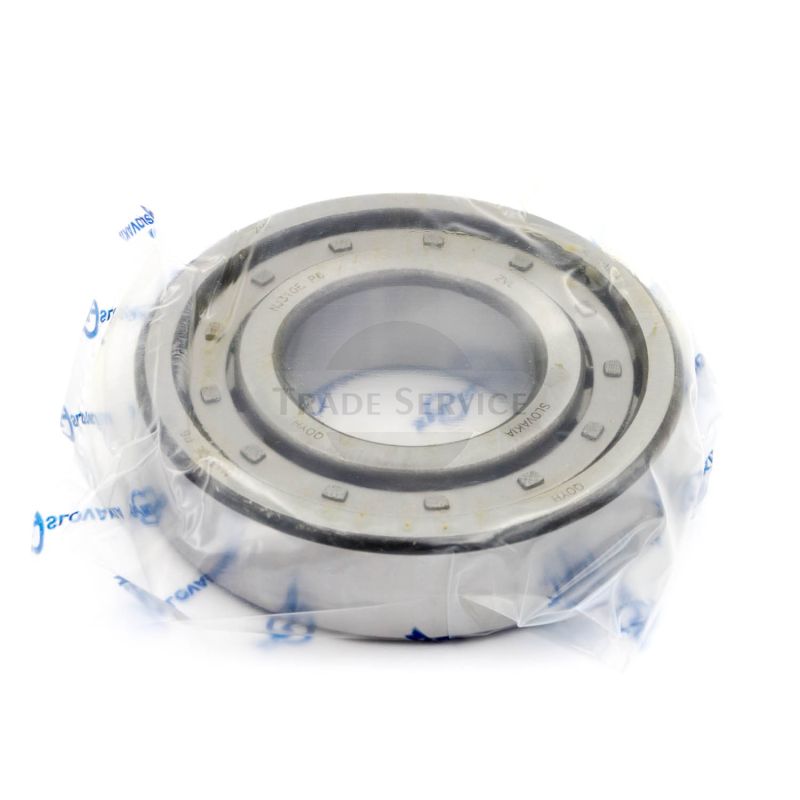 02025 H main bearing NJ310E P6 ZVL