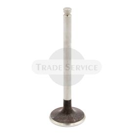 05010 MT8 intake valve (2S90A)
