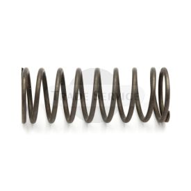 05016 valve spring 2S90A