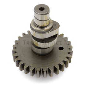 1010060 H camsaft LDA820 aftermarket