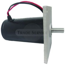 10765N WAI DC motor