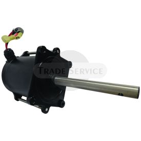 10958N WAI DC motor