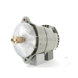 19010001 Remy alternator