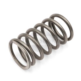 5755004 H valve spring LDA820 aftermarket