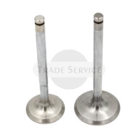9652019+9685031 H engine valve set  (in+ex) LDA820 aftermarket