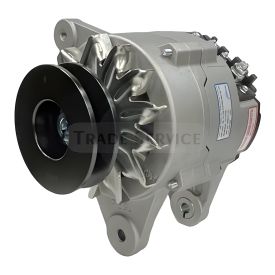 AVE136Z1913 Prestolite alternator