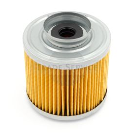 FPM803 TZ4K fuel filter (25013, 08367)