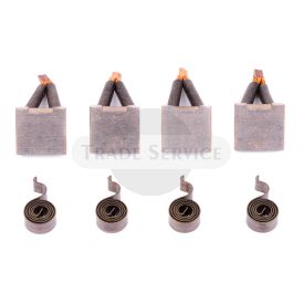 16.905.695 MSX365 MAHLE (Letrika, Iskra) set of brushes