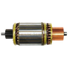 SA9019 AS-PL armature